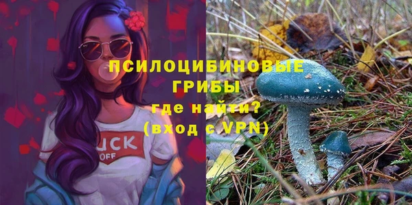 трава Липки