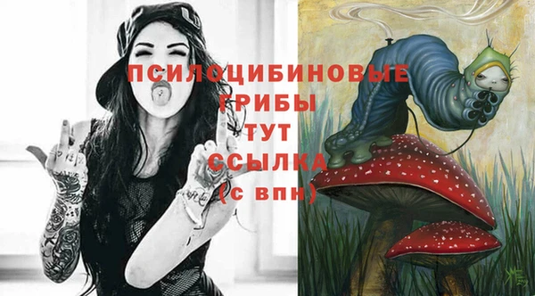 ECSTASY Лиски